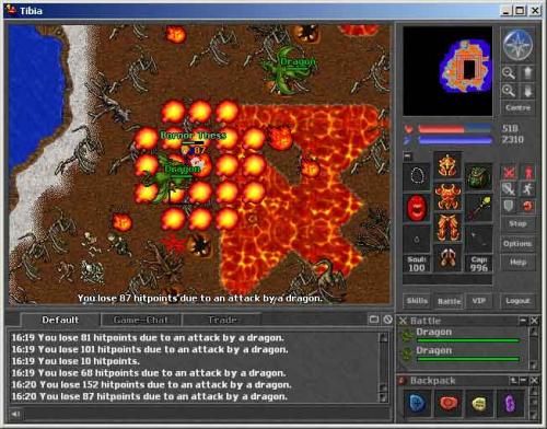 Tibia 044249,3